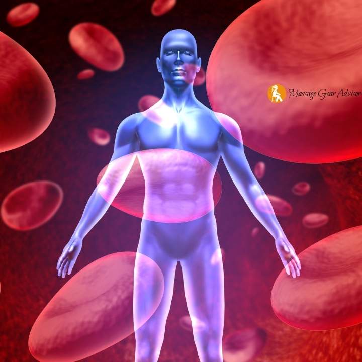 Increased Blood and Lymphatic Circulation