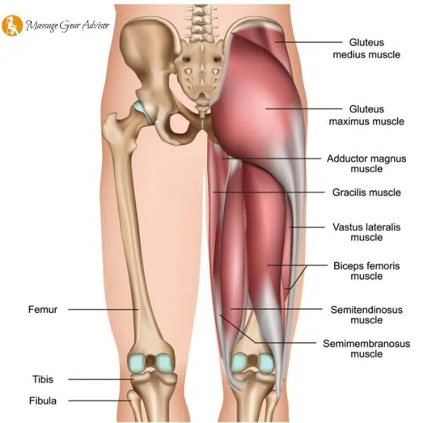 Causes of hamstring tightness,