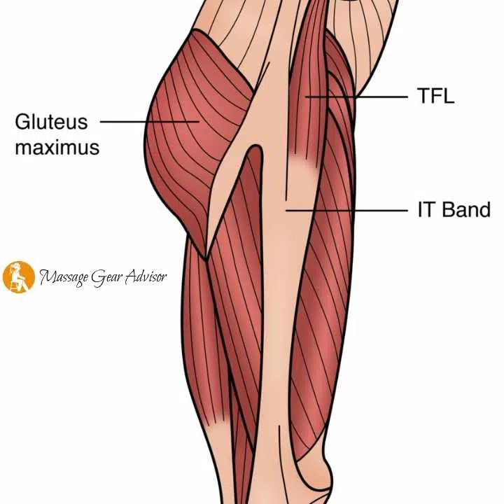 Massage gun for hips - how can it help? Using a massage gun for hip pain –  MuscleGun UK